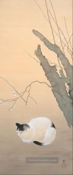  Katzen Kunst - Katzen und Pflaumenblüten 1906 Hishida Shunso Japanisch